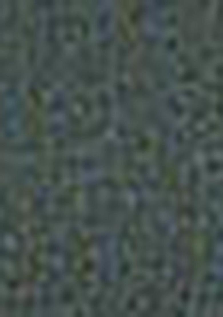 Green Zari Sequin Embroidered Georgette Lehenga Set