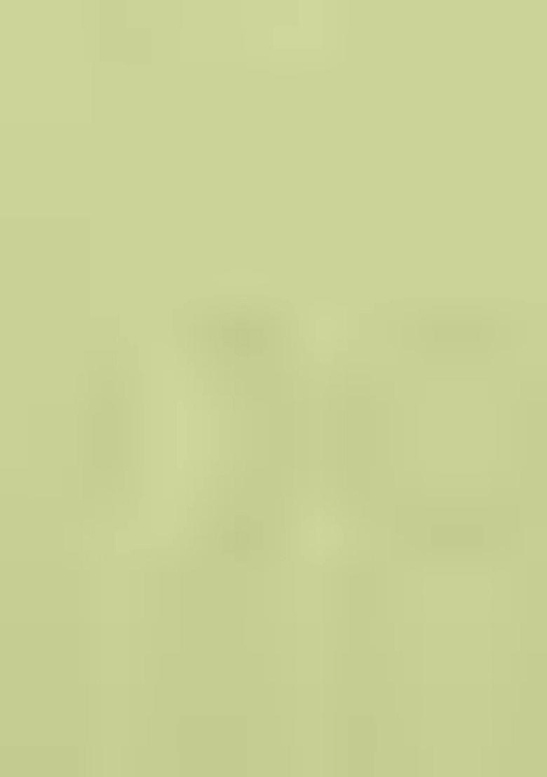 Pista Green Thread Sequin Embroidered Georgette Lehenga Set