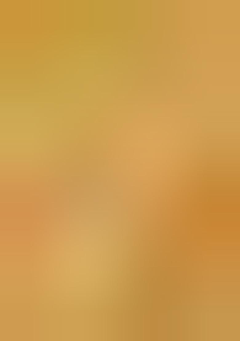 Olive Zari Woven Silk Lehenga Set