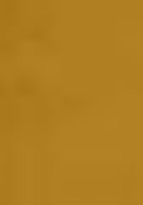 Mustard Yellow Sequin Thread Embroidered Net Lehenga Set