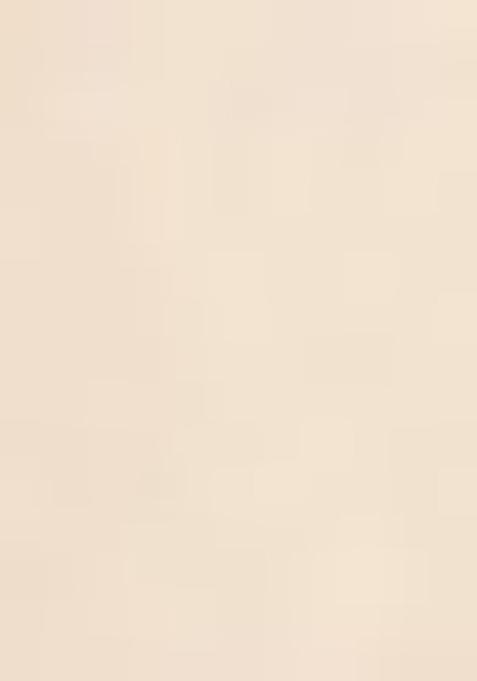 Pink Digital Print Satin Lehenga Set