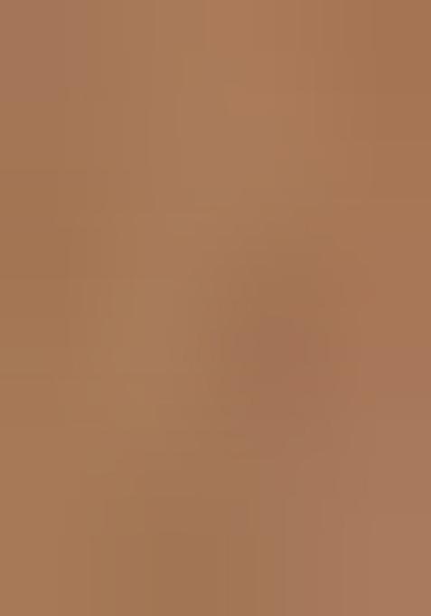 Brown Sequin Embroidered Georgette Lehenga Set