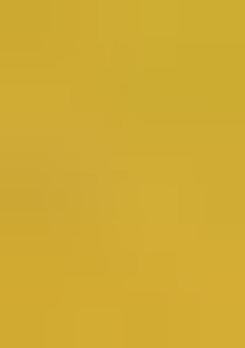 Multicolor Embroidered Georgette Lehenga Set