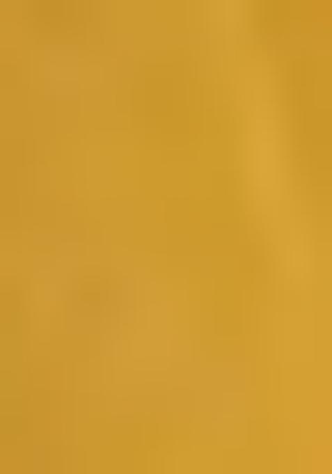 Mustard Yellow Thread Sequin Embroidered Net Lehenga