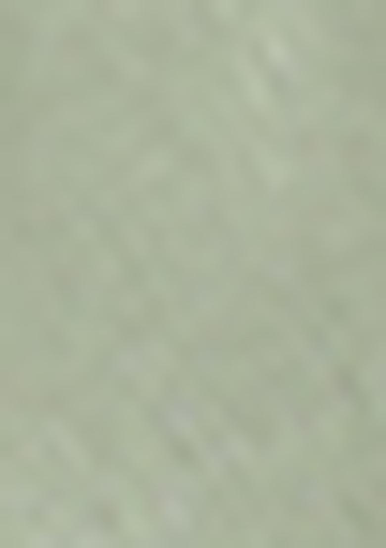 Light Green Embroidered Lehenga Set