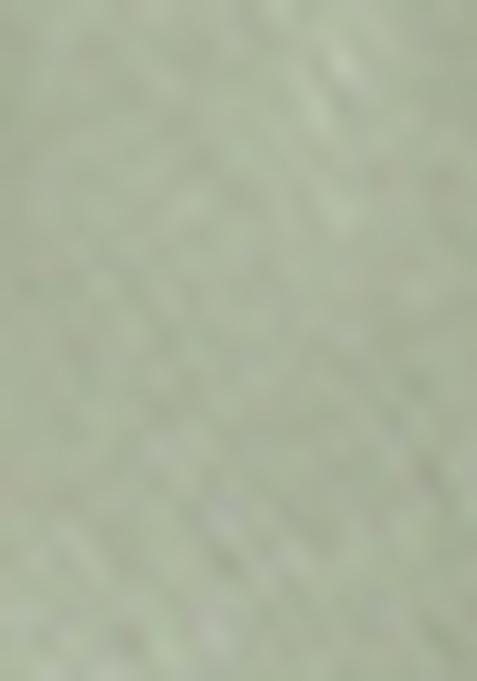 Light Green Embroidered Lehenga Set