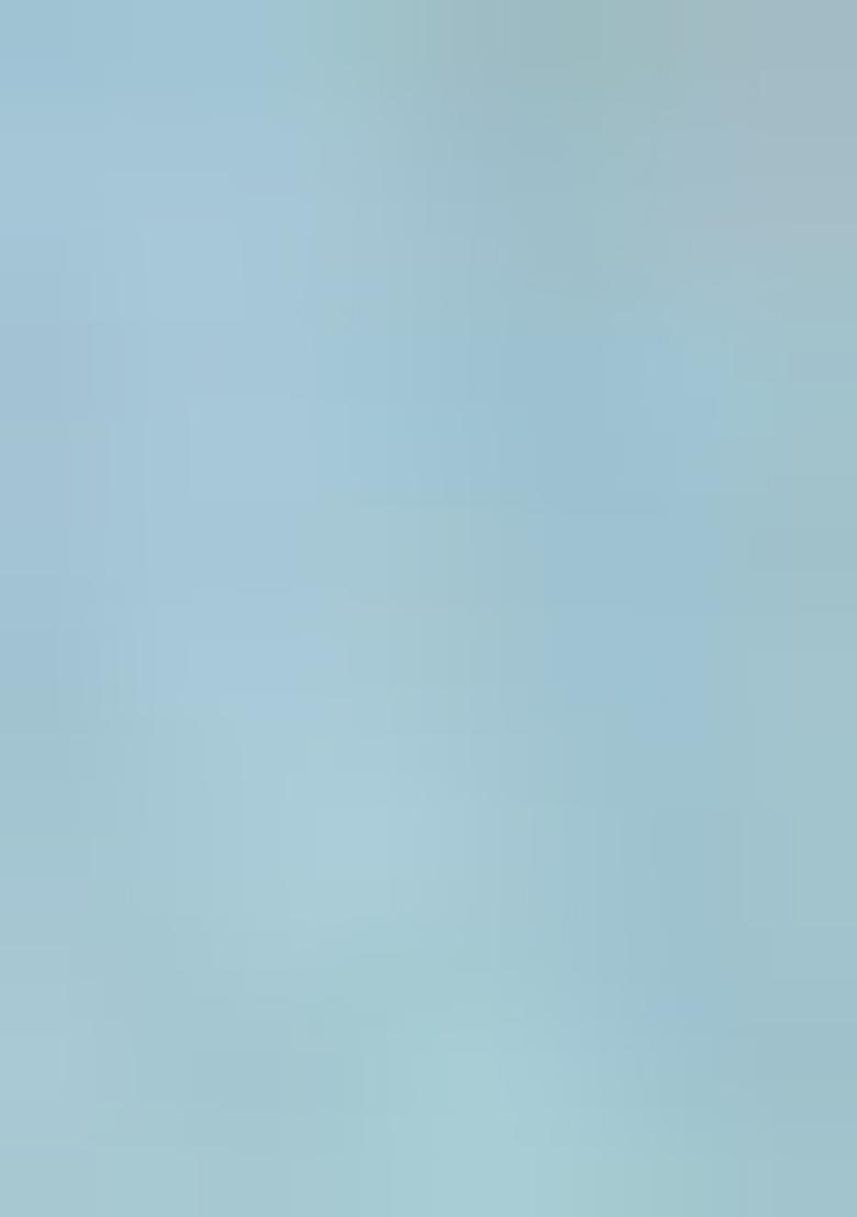 Pastel Green Zari Mirror Embroidered Heavy Banglori Silk Lehenga Set