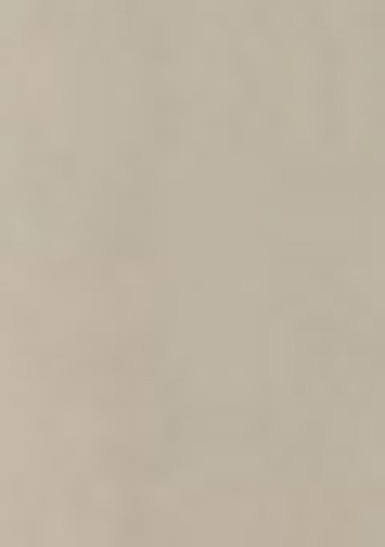 White Zari Mirror Embroidered Georgette Lehenga Set