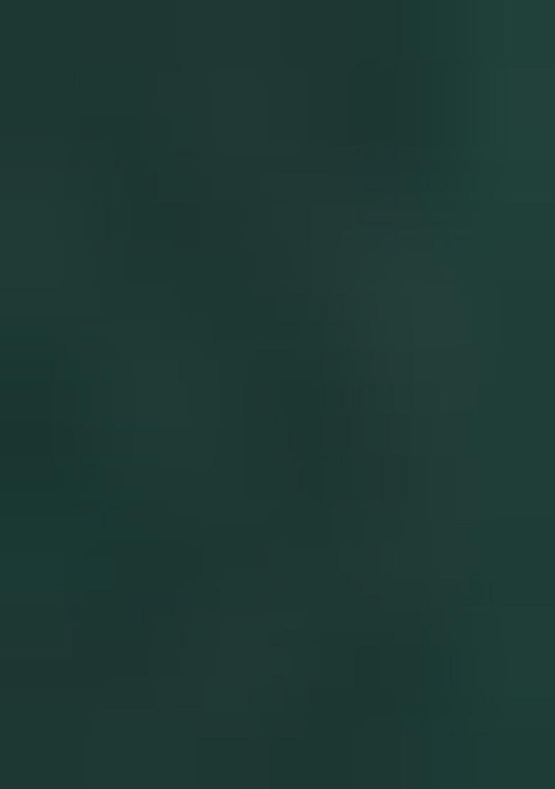 Green Sequin Embroidered Georgette Lehenga Set