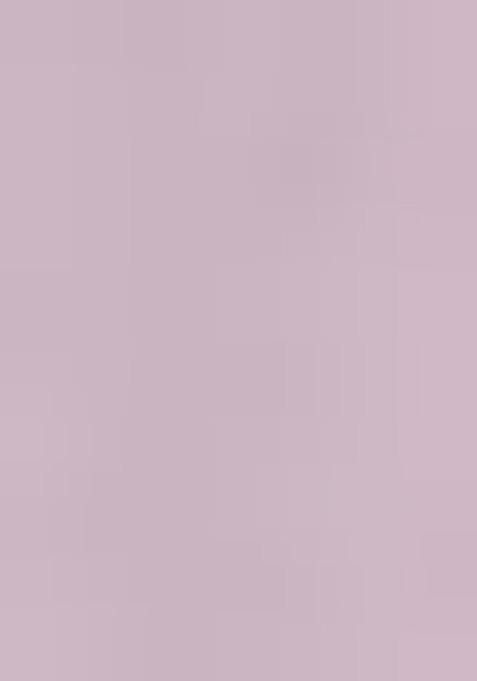 Lavender Embroidered Net Lehenga Set