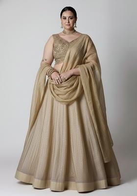 Aqua Blue Thread Work Net Lehenga Set