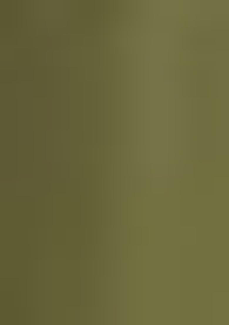 Olive Sequin Zari Embroidered Georgette Lehenga Set