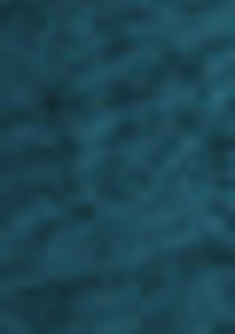 Green Embroidered Net Lehenga Set