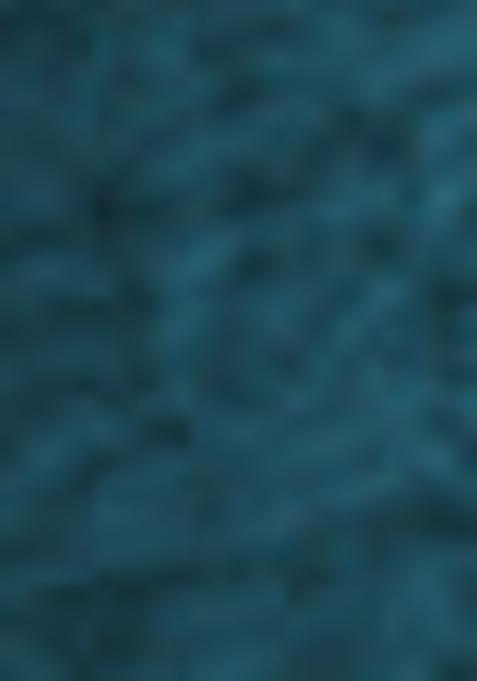 Green Embroidered Net Lehenga Set