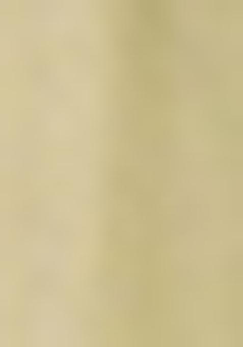 Pista Green Embroidered Soft Net Lehenga Set