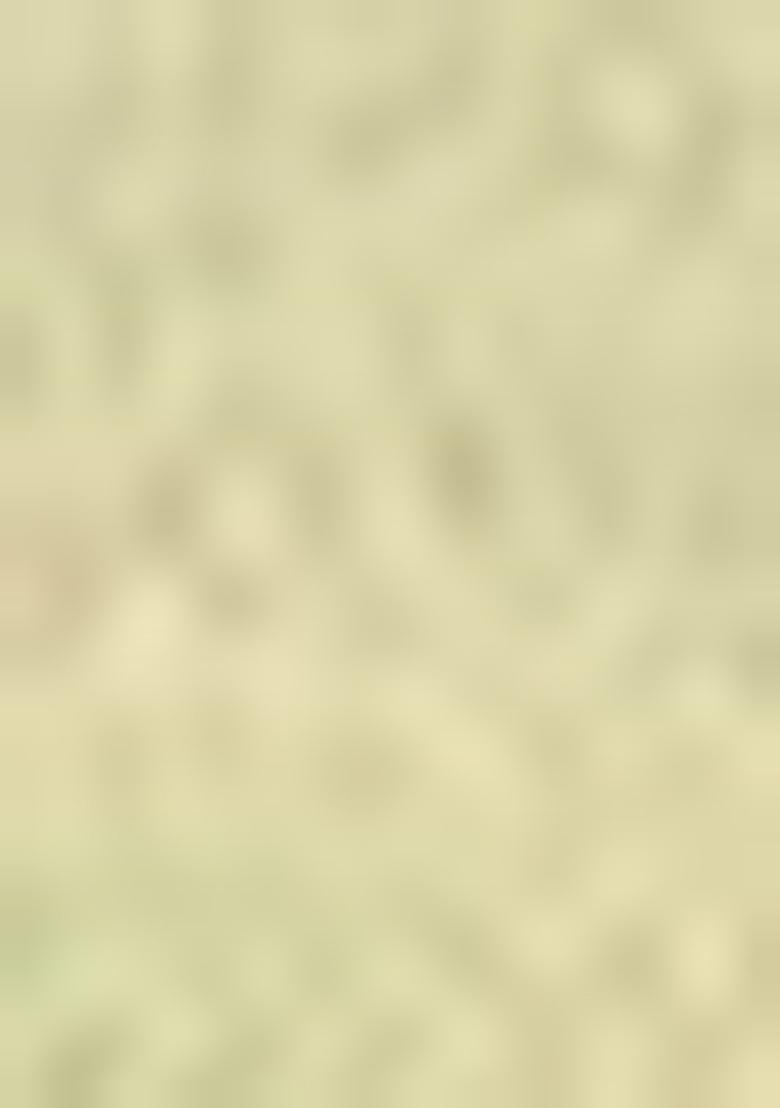 Green Sequin Embroidered Poly Blend Lehenga Set