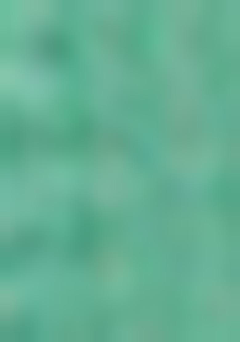 Pista Green Zari Woven Kanchipuram Lehenga Set