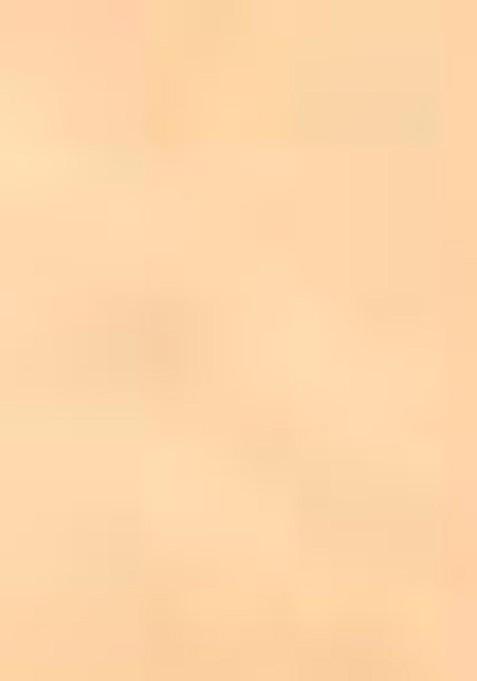 Beige Embroidered Silk Lehenga Set