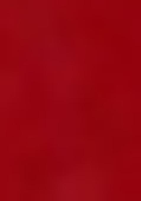 Red Embroidered Net Lehenga Set