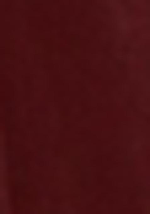 Maroon Embroidered Raw Silk Lehenga Set