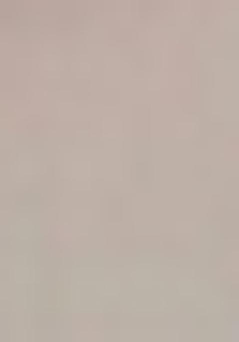 White Embroidered Lehenga Set