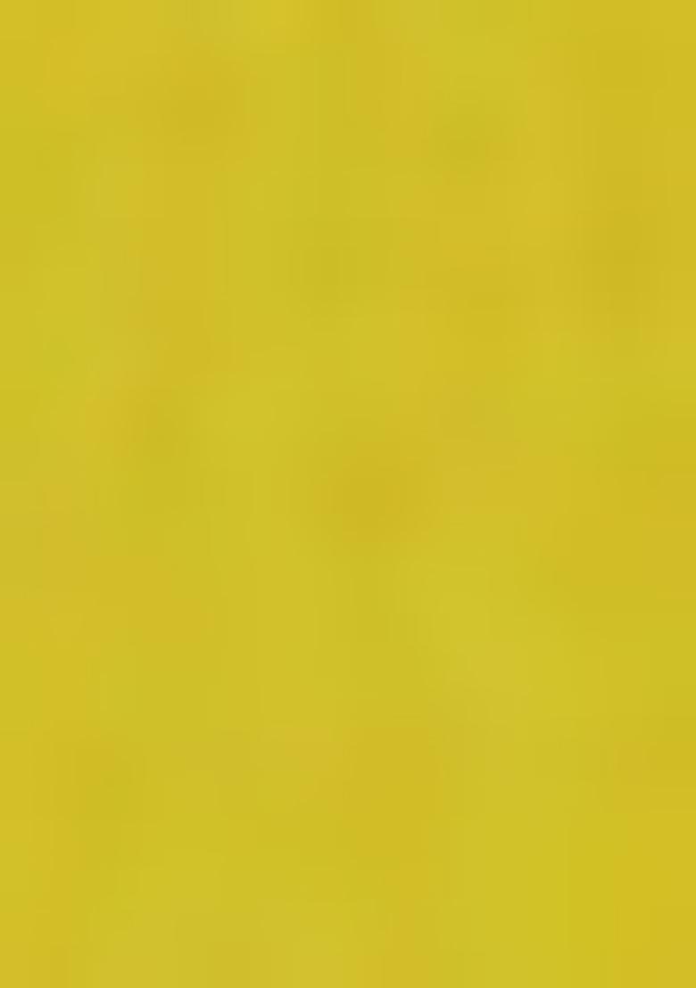 Lime Green Zari Woven Silk Lehenga Set