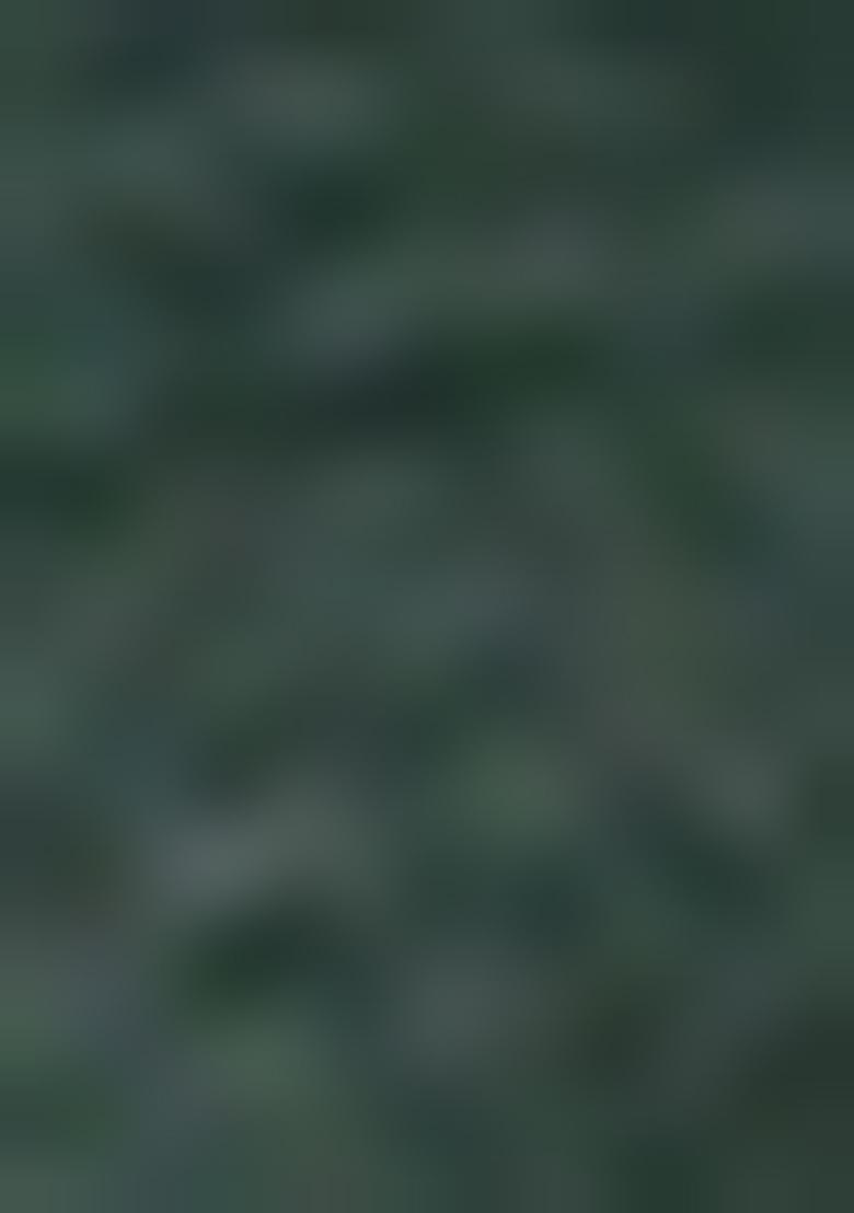 Green Digital Print Sequin Embroidered Georgette Lehenga Set