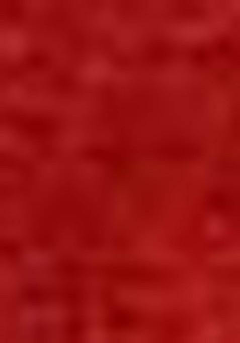 Red Sequin Embroidered Net Lehenga