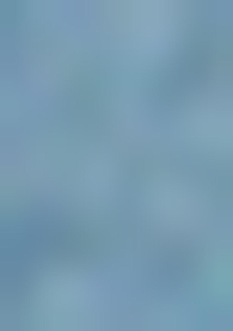 Blue Embroidered Net Lehenga Set