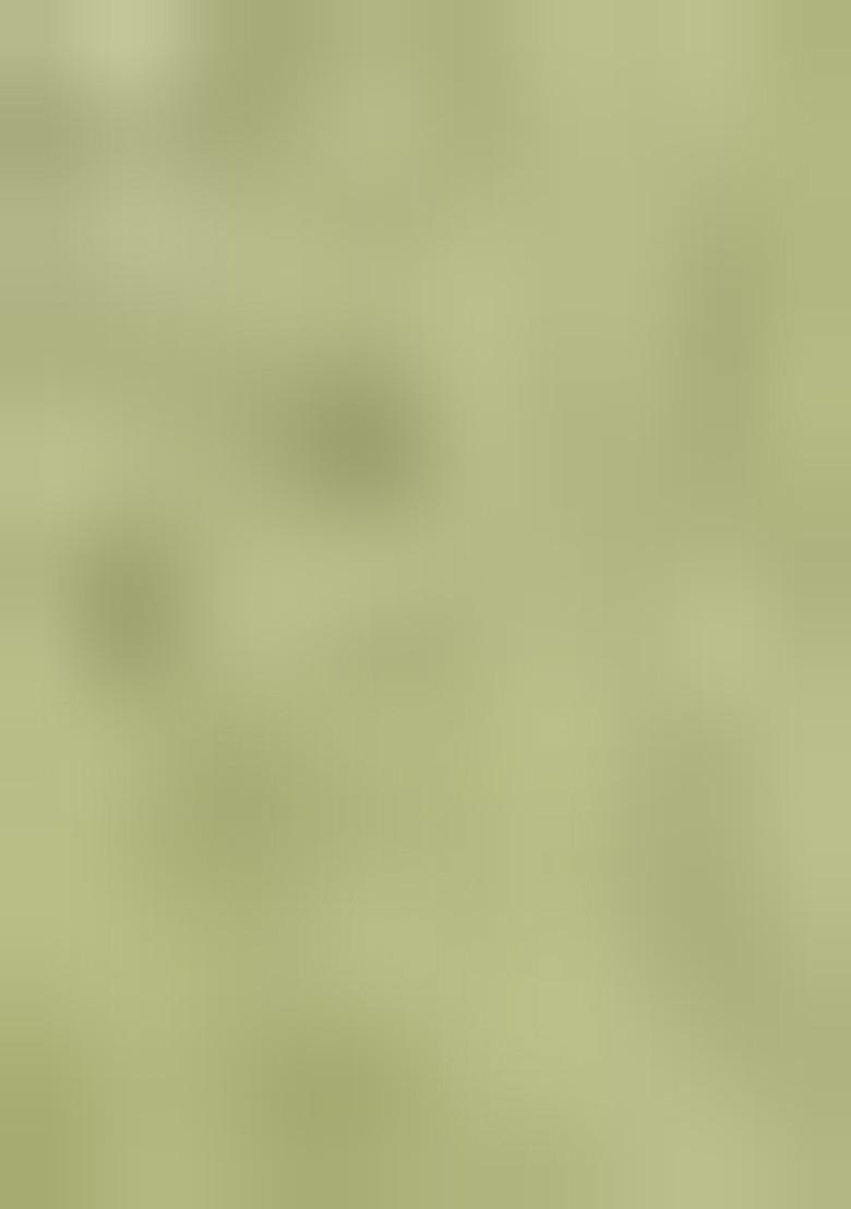 Off Green Embroidered Net Lehenga Set