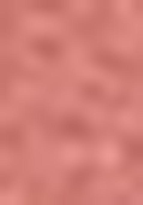 Rust Thread Sequin Embroidered Net Lehenga