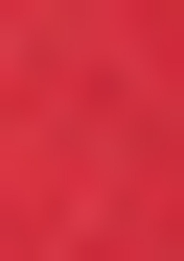 Red Thread Embroidered Net Lehenga Set