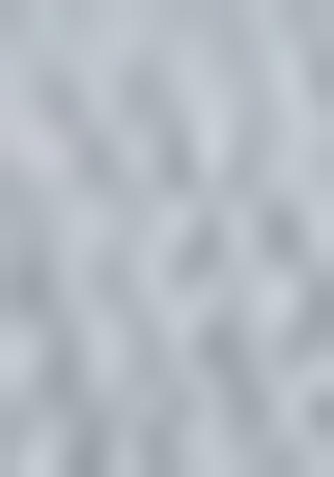 Green Sequin Embroidered Lehenga Set With Dupatta