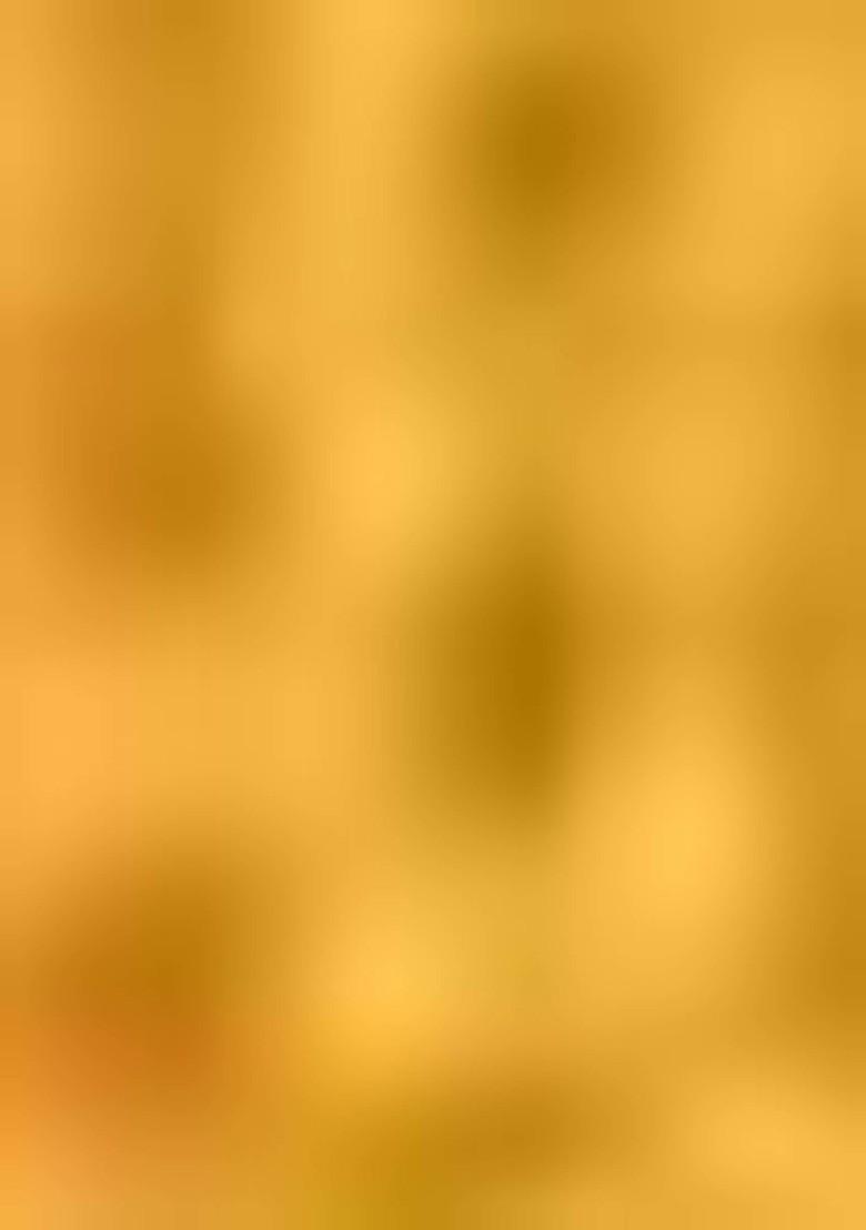 Mustard Thread Embroidered Net Lehenga