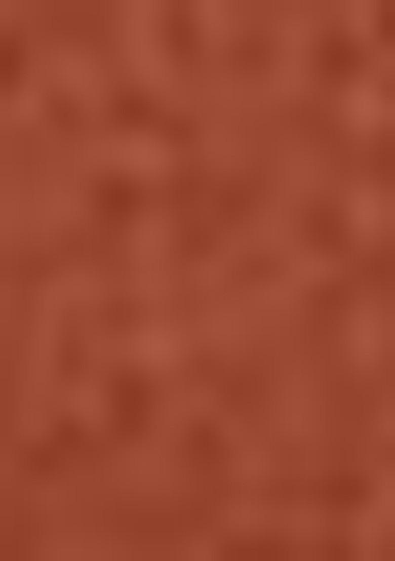 Brown Thread Sequin Embroidered Net Lehenga