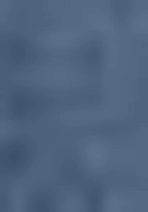 Peach Thread Embroidered Net Lehenga