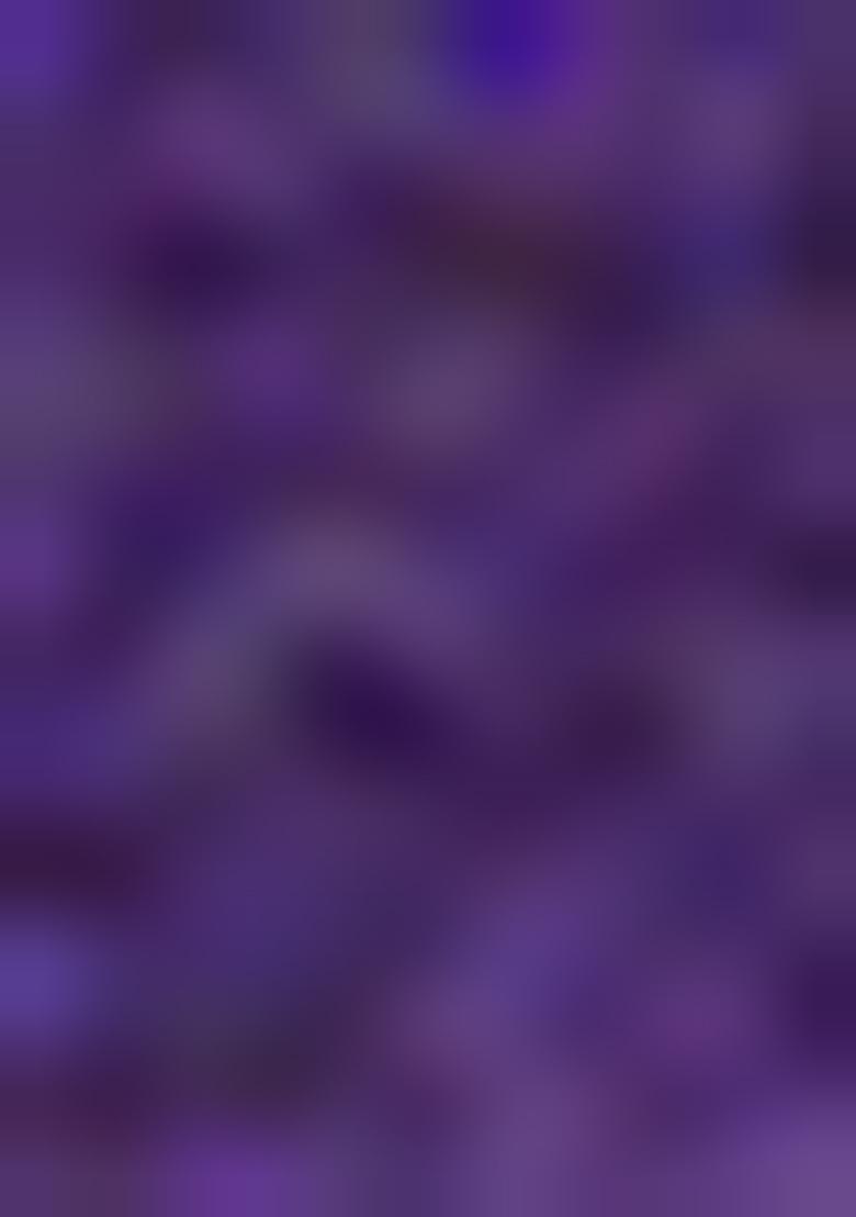 Mustard Zari Embroidered Jacquard Silk Lehenga Set