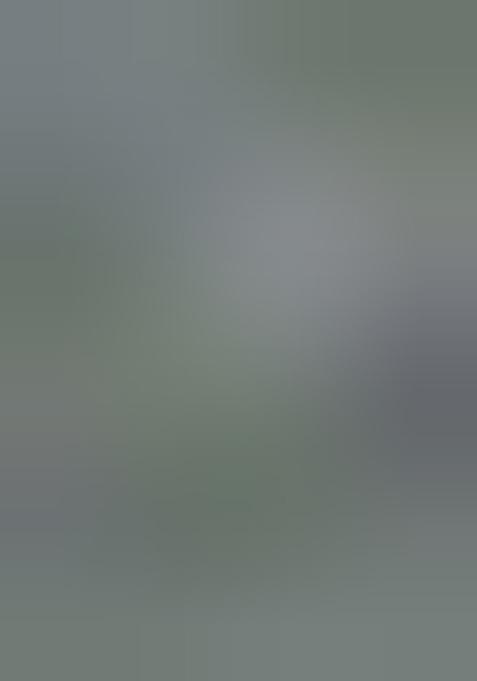 Pink Digital Print Lehenga Set