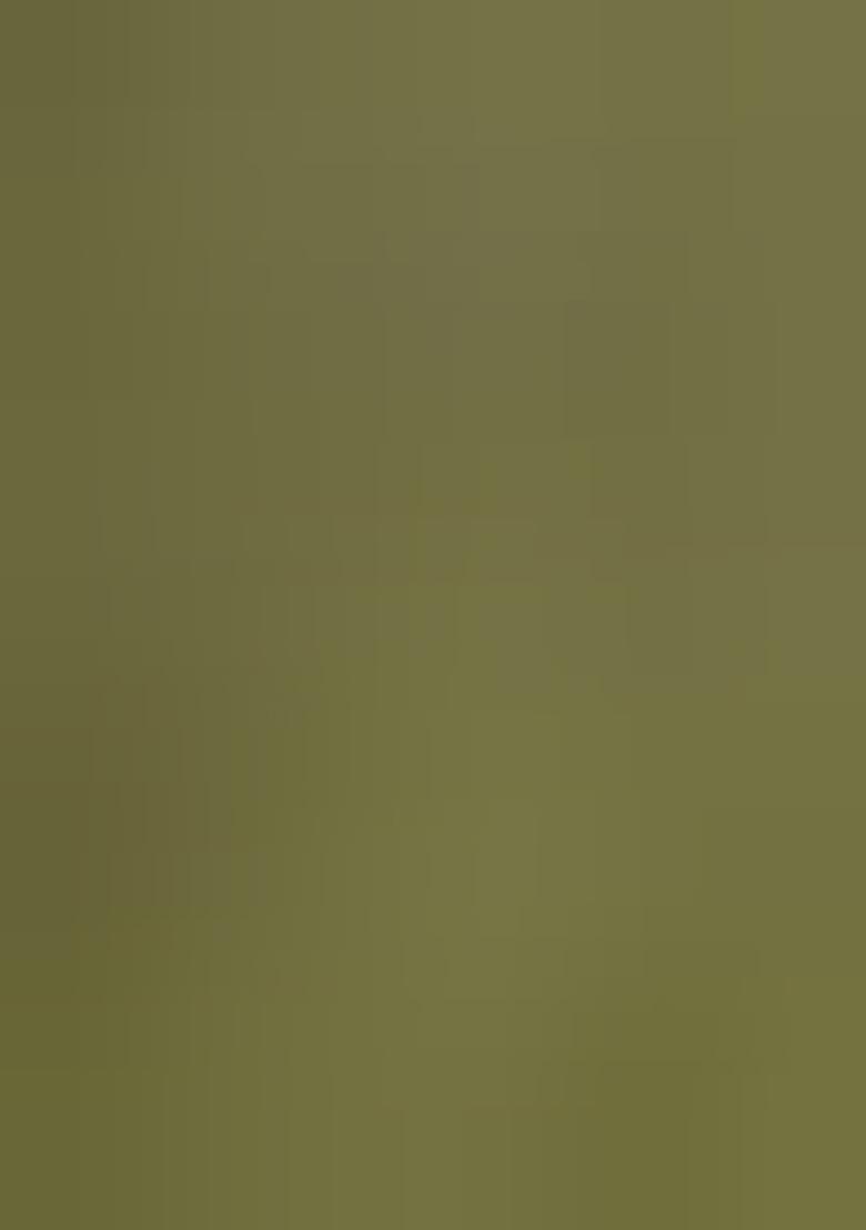 Olive Green Embroidered Georgette Lehenga Set