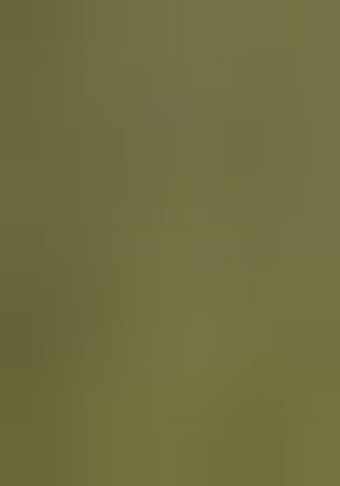 Olive Green Embroidered Georgette Lehenga Set