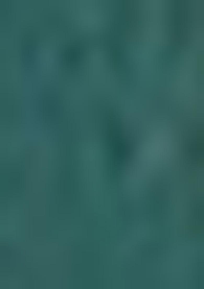 Green Sequin Embroidered Jacquard Silk Lehenga Set