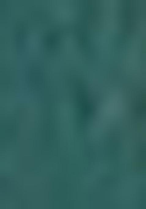 Green Sequin Embroidered Jacquard Silk Lehenga Set