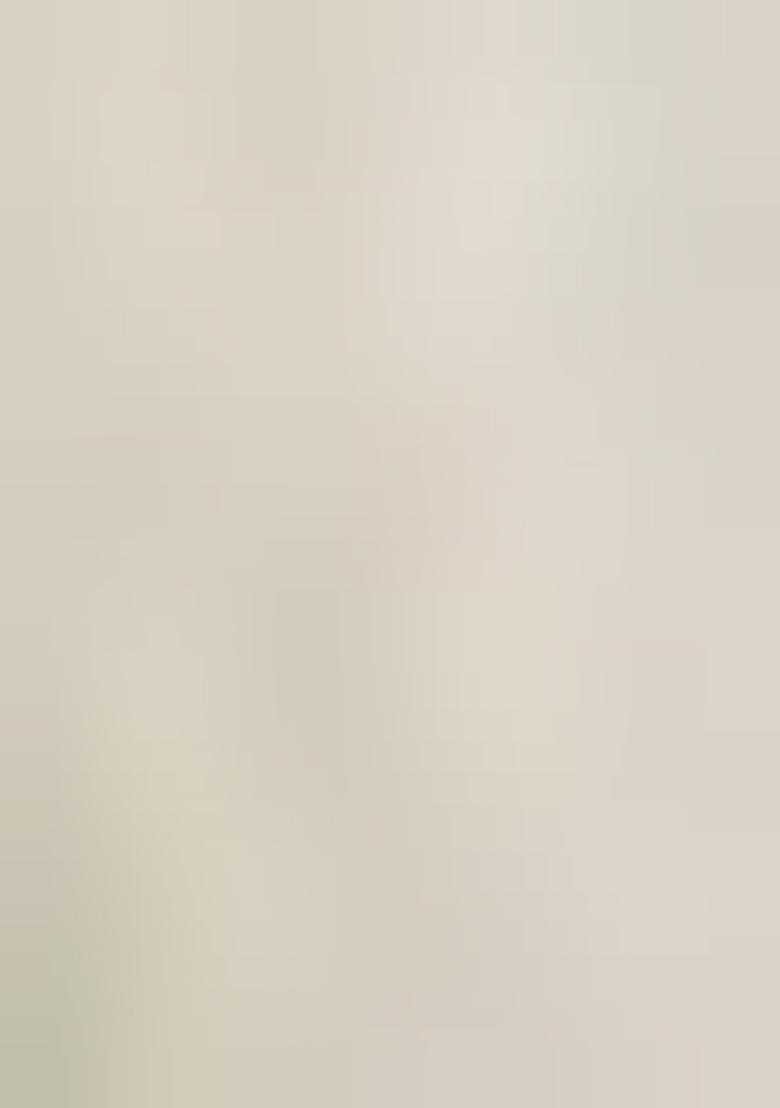 White Embroidered Georgette Lehenga Set