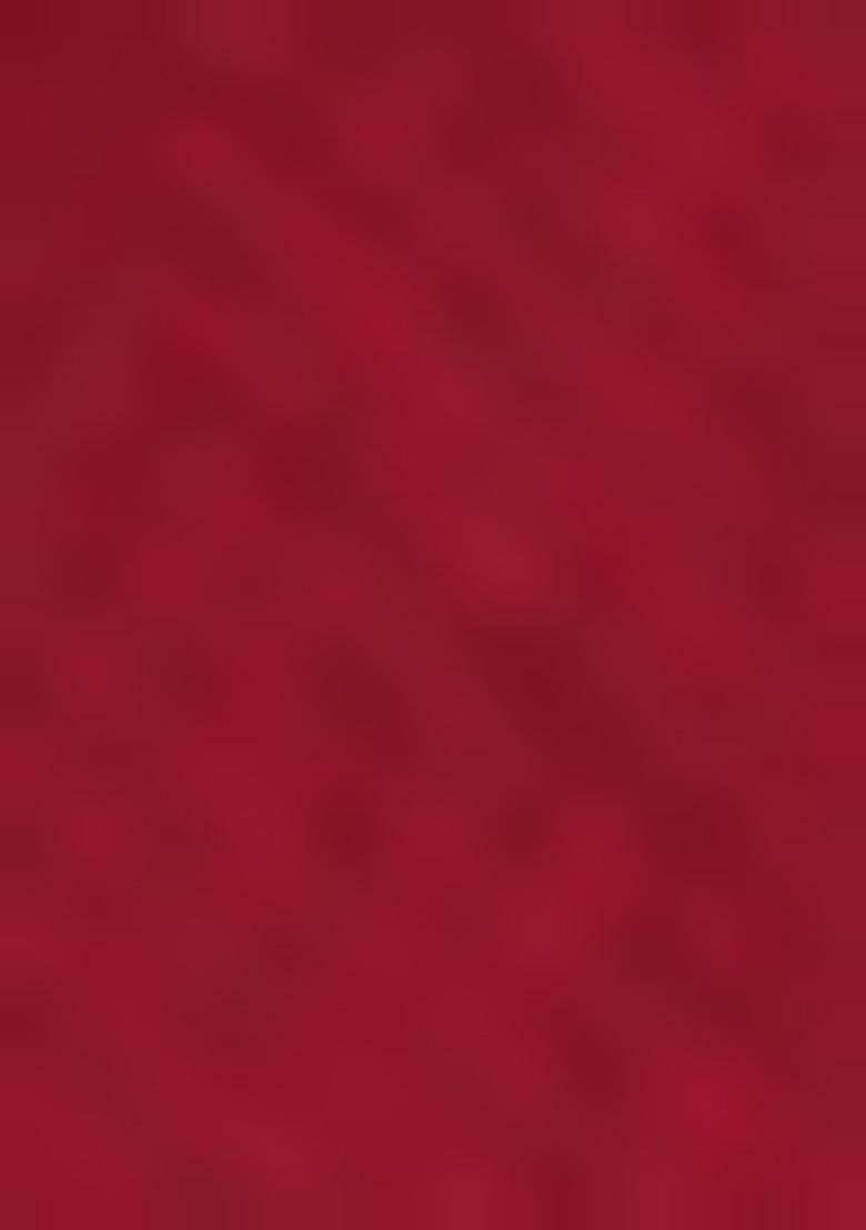 Red Sequin Zari Embroidered Georgette Lehenga Set