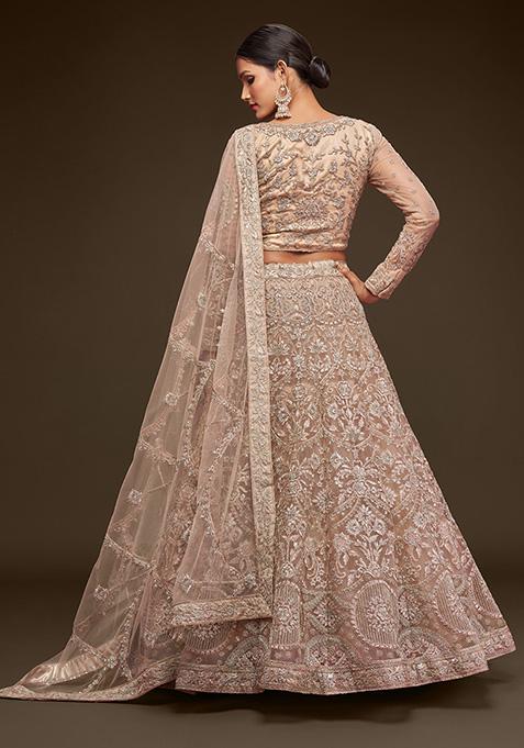 Royal Beige Dori Thread Embroidered Net Lehenga Set
