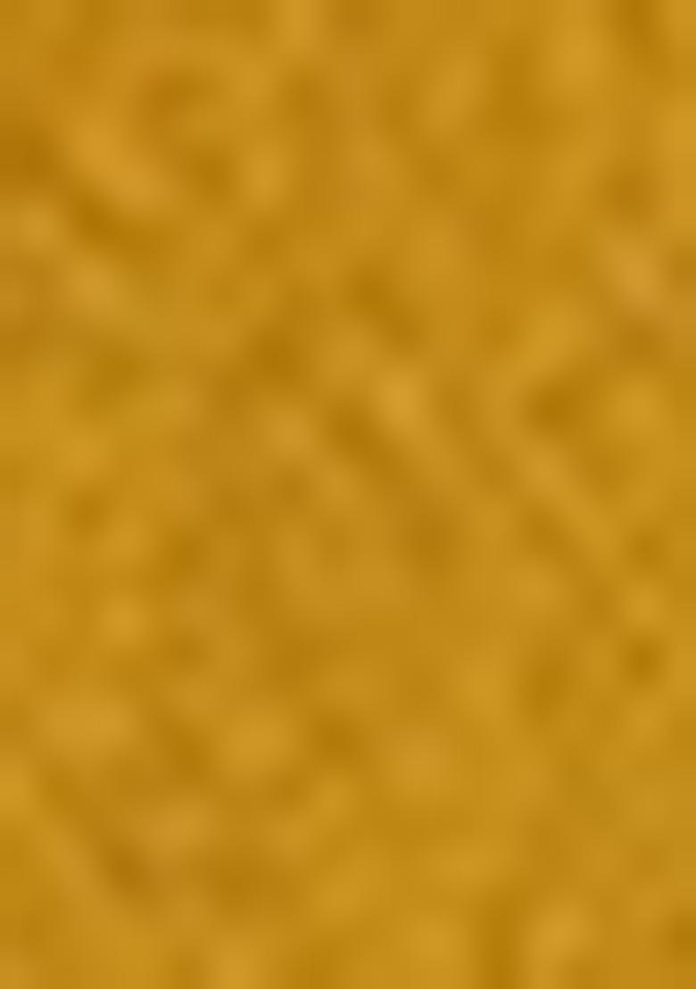 Yellow Brocade Zari Woven Embroidered Lehenga Set