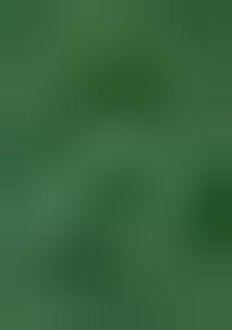 Green Floral Print Zari Sequin Embroidered Organza Lehenga Set