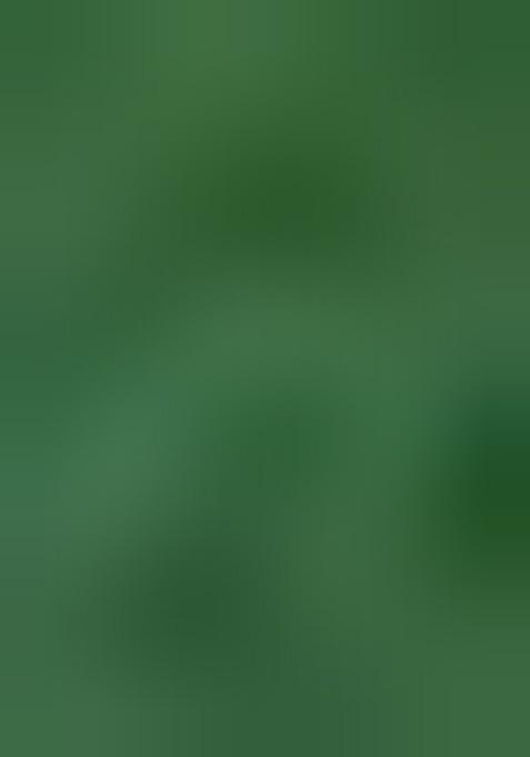 Green Floral Print Zari Sequin Embroidered Organza Lehenga Set