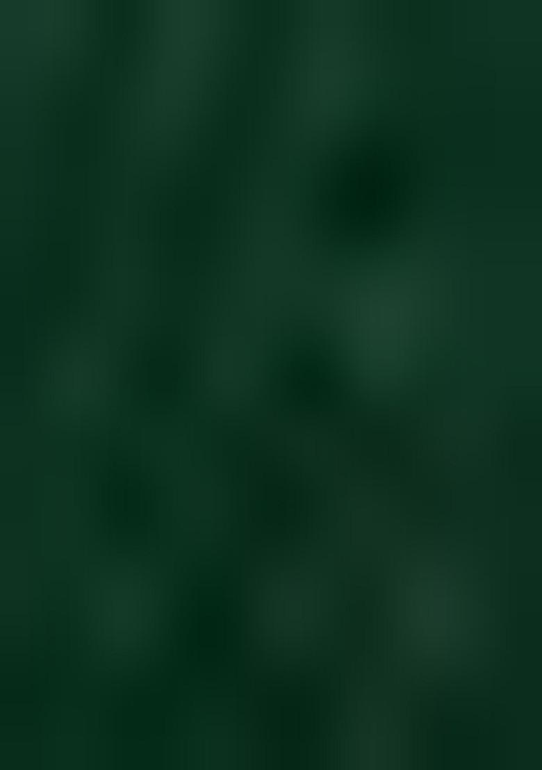 Green Thread Embroidered Net Lehenga Set