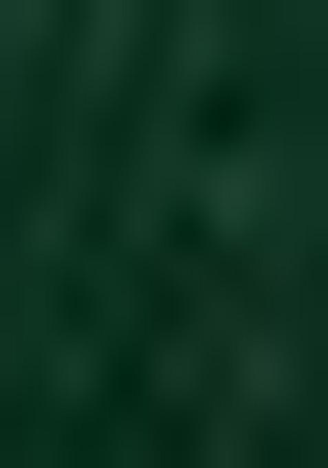 Green Thread Embroidered Net Lehenga Set